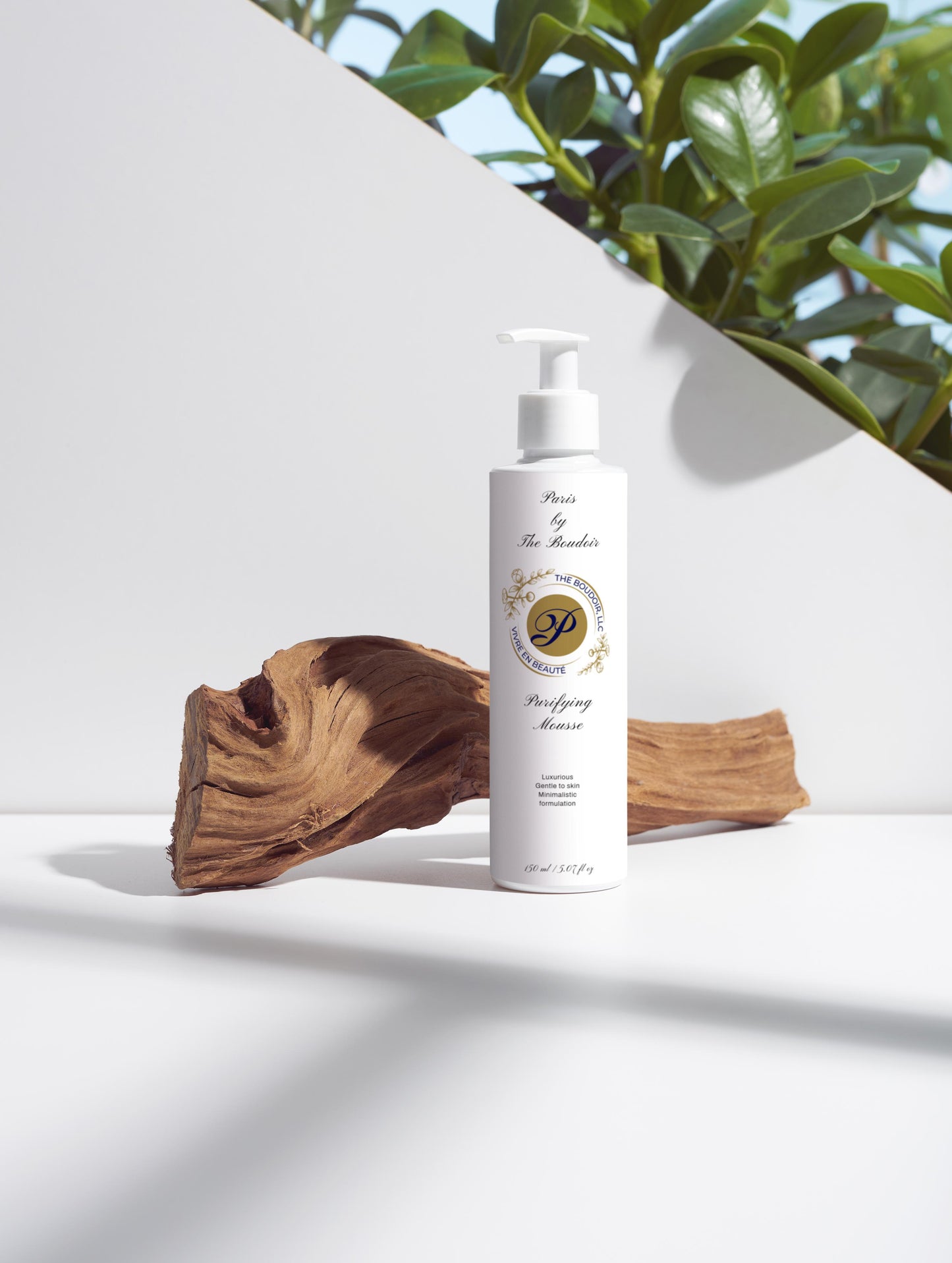 Purifying Mousse